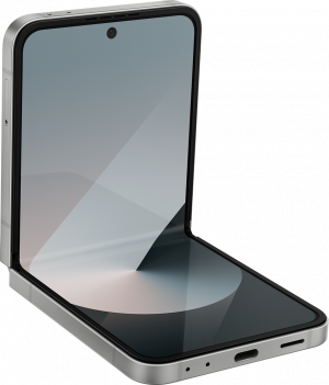 Samsung Galaxy Z Flip 6, 256 ГБ, Silver Shadow (Серебрянная тень), SM-F741B